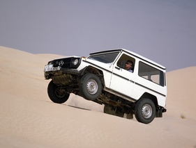 Mercedes-Benz G (1981) - Baureihe 460, sprungkräftig
