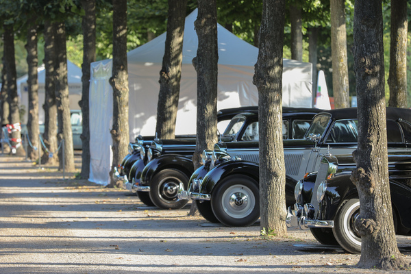 Mercedes-Benz-Klassiker unter den Bäumen - 20. ASC Classic-Gala Schwetzingen 2024