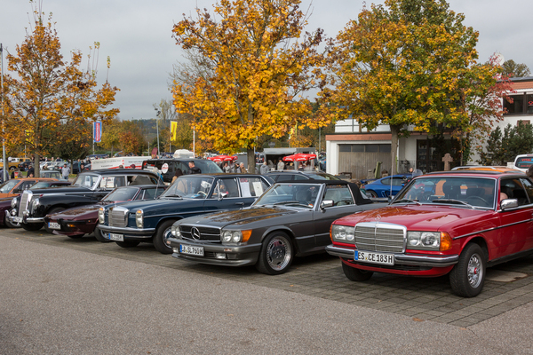Mercedes-Benz aus unterschiedlichen Epochen und dazwischen ein Fiat – Retro-Saisonabschluss 2024