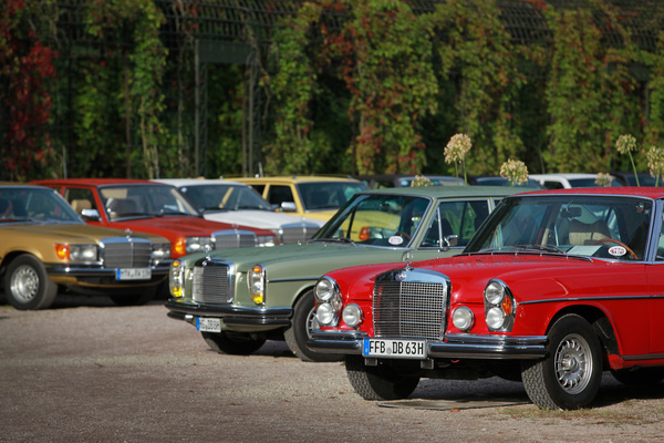 Bild Mercedes-Benz war dank starkem Engagements der Clubs zahlenmässig stark vertreten - Classic-Gala Schwetzingen 2020