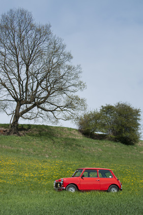 Mini 1000 HL (1982) - dreissig Jahre alt ist dieser Mini bereits