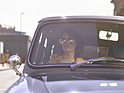 Bild: Mini Remastered by David Brown Automotive (2017) - klassischer Wagen mit neuzeitlichen Manieren