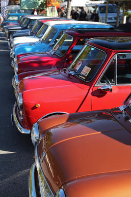 Minis in allen Farben - Swiss Classic British Car Meeting Morges 2017
