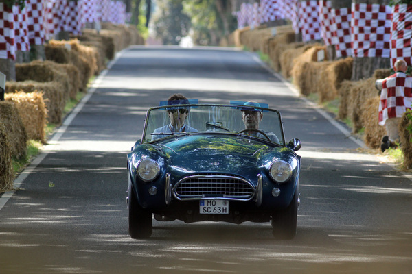 Mit DM 22’650 bot die Shelby Cobra 289 Mitte der Sechzigerjahre konkurrenzlose Fahrleistungen, heute ist die Cobra EUR 900’000 teuer und damit gut 18 mal soviel wie neu (inflationsbereinigt)