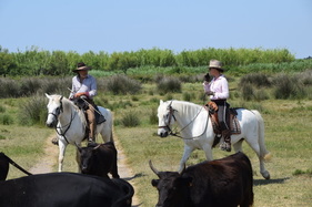 Mit der Natur verbunden - Eindrücke von der Lavendeltour Mit der Natur verbunden - Eindrücke von der Lavendeltour