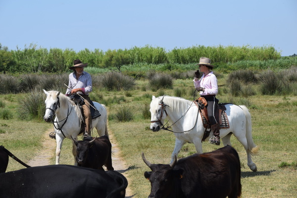 Mit der Natur verbunden - Eindrücke von der Lavendeltour