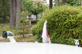 Mitsubishi Debonair (1988) - Blick in den japanischen Garten des Japanisch-Deutschen Zentrums in Berlin-Zehlendorf