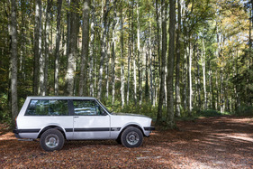 Monteverdi Safari 5.7 (1978) - Eine tiefe Gürtellinie und grosse Fensterflächen prägen den Safari