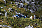 Morgan Three Wheeler (1933) - am Klausenrennen 2013 (1933)