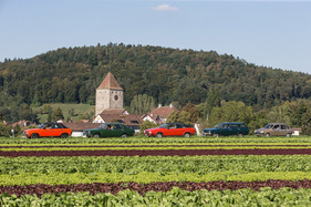 Morris Marina (1974) - Morris Marina und weitere Kreationen von British-Leyland