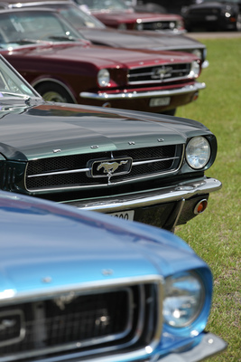 Mustangs, soweit das Auge blickt - Mustang & Shelby Meeting 2017 in Zug