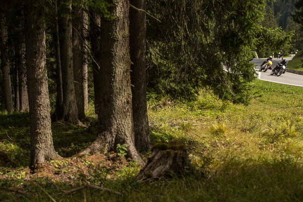 Natürliche Streckenbegrenzung: Weiches Moos und hartes Holz – 20. Arosa ClassicCar 2024