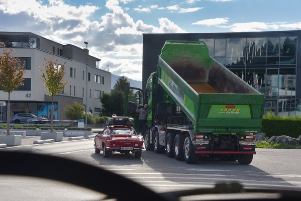 Natural spectacle: A full-grown Volvo and its newly hatched chick - Swiss Volvo Meeting 2025