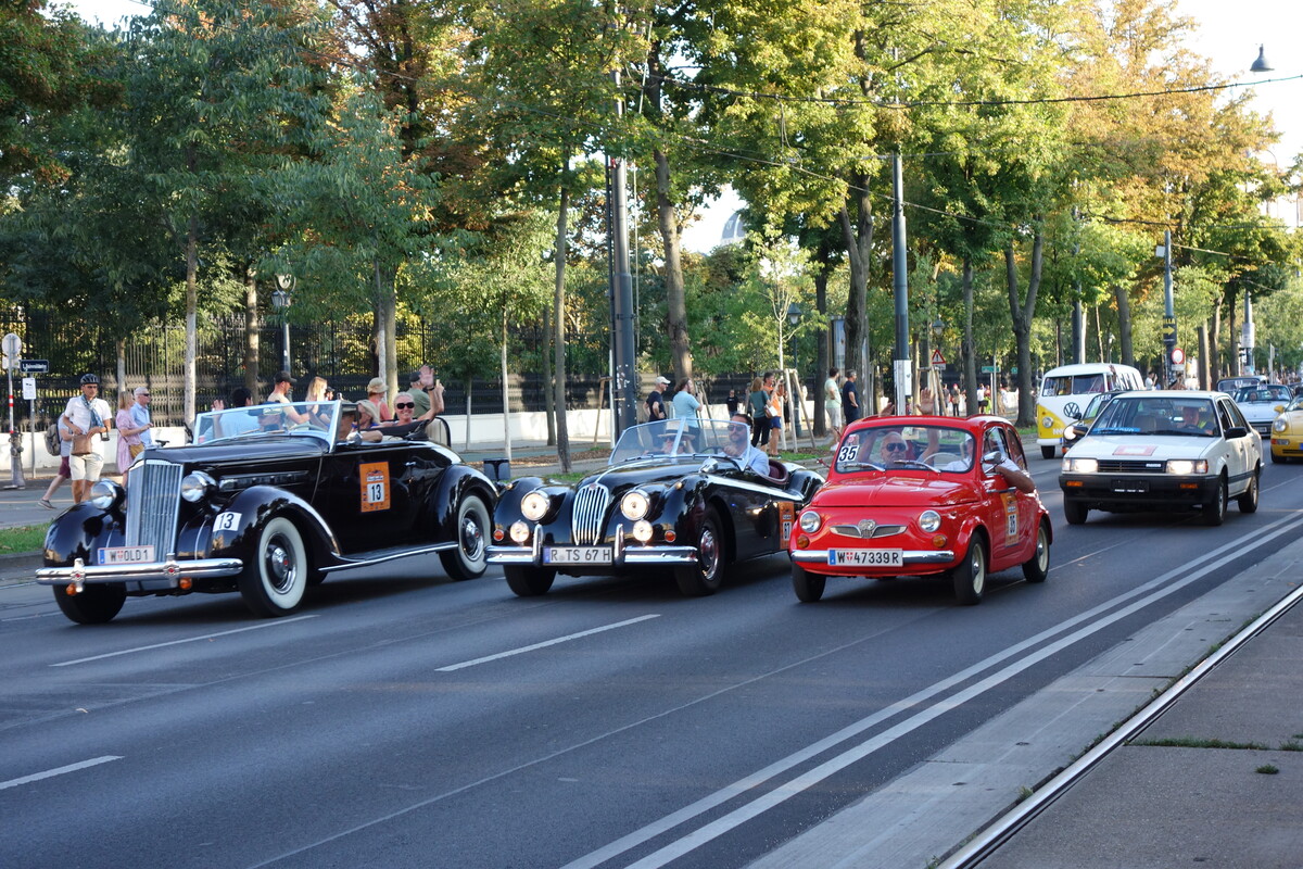 Neben dem Packard 120 Convertible Coupe (1936) und dem Jaguar XK 140 (1955) darf auch ein Steyr Puch 500 (1963) nicht fehlen - Vienna Classic Days 2024
