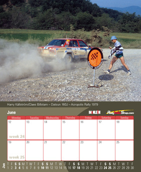 Neue Kalender von McKlein - Desktop Rally 2017 Juni