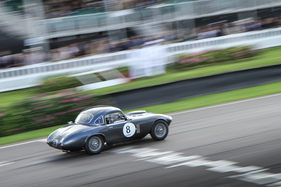 Bild Nicholas Pellett im Frazer Nash Le Mans Coupe (1953) - Fordwater Trophy - Goodwood Revival 2015