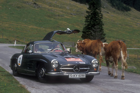 Nicht nur das Wetter macht die Rallye spannend, auch die vielen Kühe können den mühsam gefahrenen 50km:h Schnitt komplett durcheinander bringen. Hier im Bild Karl Wendlinger mit Walter Totschnig im Mercedes 300 SL.
