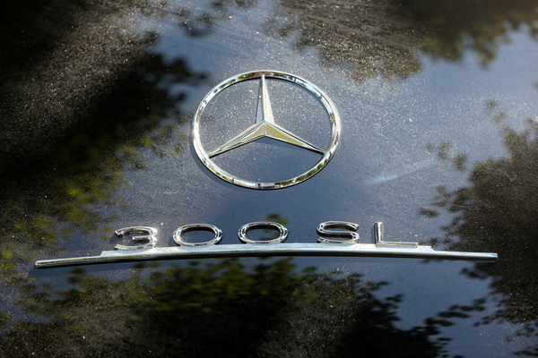 Nicht so gut meinten es die Parkbäume mit den wertvollen Klassikern, …