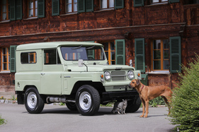 Obwohl ein seltener Anblick in Europa, scheinen Hund und Katze etwas anderes spannender zu finden.