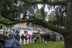 O.M. 665 S Superba 2000 CM3 (1926) - 1000 Miglia 2024
