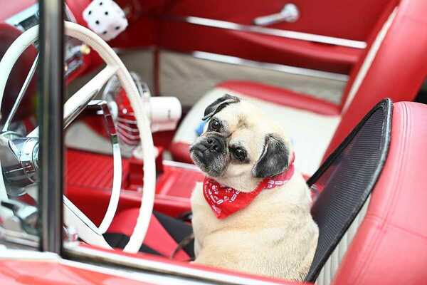 Older Classics Juli 2021