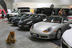 Oldie-Nachwuchs - Porsche Boxster, Audi R8 und BMW Z3 - den Hund kümmerts kaum - 42. Auto e Moto d'Epoca 2025
