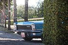 Image: Opel Diplomat (1970) - hiding in the green - Classic-Gala Schwetzingen 2021