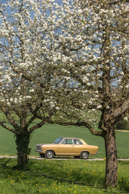 Opel Kadett 1100 (1971) - Goldstück