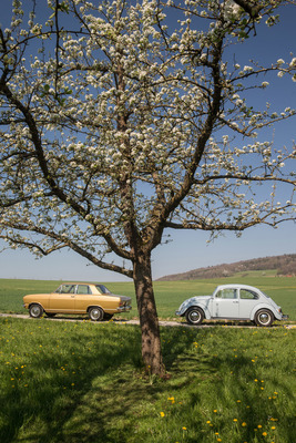 Opel Kadett 1100 (1971) - für viele Autokäufer in den Sechzigerjahren die finale Auswahl - Kadett oder Käfer
