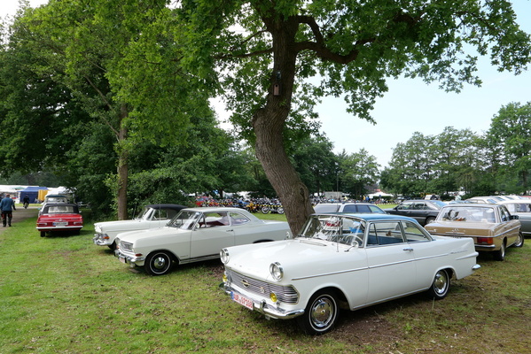 Opel Rekord Coupé (1962) – neben einem '66er Modell und einem seltenen Cabriolet – Bockhorner Oldtimermarkt 2024