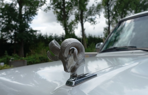 Pack das Leben an den Hörnern! Dann macht auch der Regen nichts aus – Classic Days 2025