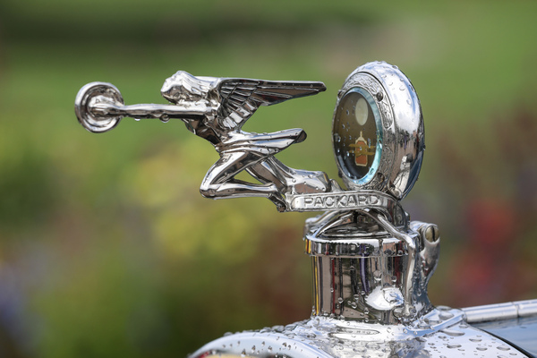 Packard-Kühlerfigur mit Thermometer - 18. ASC-Classic-Gala Schwetzingen 2022