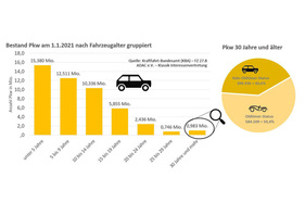 Personenwagen Fahrzeugbestand Deutschland per 1.1.2021 aufgeschlüsselt
