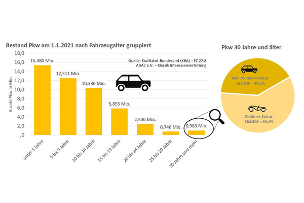 Breakdown of passenger car fleet in Germany as at 1.1.2021