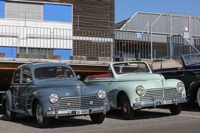 Peugeot 203 (1956) - seltenes Zusammentreffen von Limousine und Cabriolet - 49. FNA-Jahrestreffen 2023 (1956)