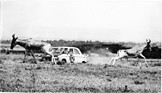 Peugeot 204 (1967) - im Rallye-Einsatz - Nairobi 1967, East African Safari