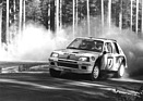 Peugeot 205 Turbo 16 (1985) - Vatanen und Harryman bei der 1000 Seen Rallye