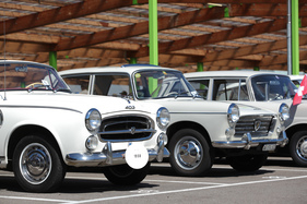 Peugeot 403 - neben Nachfolger 404 - am 2. TCS Youngtimer und Classictreffen in Pratteln im Jahr 2016