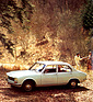 Peugeot 504 (1974) - in idyllischer Umgebung