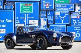 Pilgrim Cobra (1971) - am Treffen "Fantastic Plastic" 2013