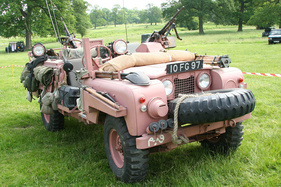 Pink Panther
