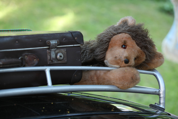 Plüschtier auf dem Dachgepäckträger - am 40. Oldtimer-Meeting Baden-Baden 2016