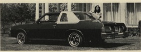 Pontiac Catalina - Bonneville 3,8-Liter-V6 - 115 HP (netto) (1979)