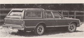 Pontiac Catalina - Bonneville - 3,8-Liter-V6-Motor- 105 HP (netto) (1978)