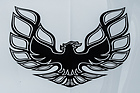 Pontiac Firebird (1994) - Dieses "Screaming Chicken" wurde nachträglich auffoliert