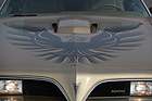 Pontiac Firebird Trans Am (1978) - der Feuervogel auf der Motorhaube