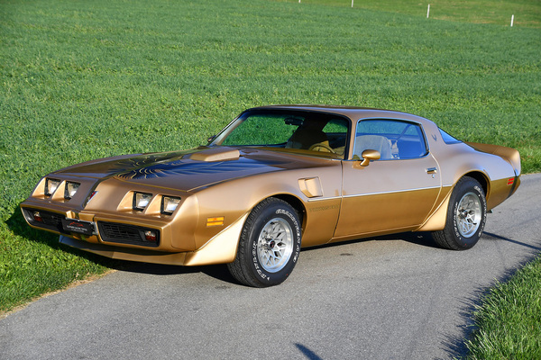 Pontiac Firebird Trans Am (1979) - als Lot 71 an der Versteigerung der Oldtimer Galerie in Toffen am 19. Oktober 2019