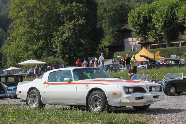 Pontiac Firebird TransAm (1977) - wäre er schwarz, müsste irgendwo "the Bandit" stehen - Albisgütli Classic Cars & Bikes August 2022