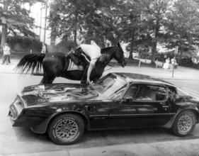 Pontiac Firebird TransAm (1978) - erhält in Washington D.C. eine Parkbusse von einem berittenen Polizist Mitte der Achtzigerjahre