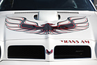 Pontiac Firebird TransAm - mit dem Feuervogel auf der Haube - Dolder Classics September 2016